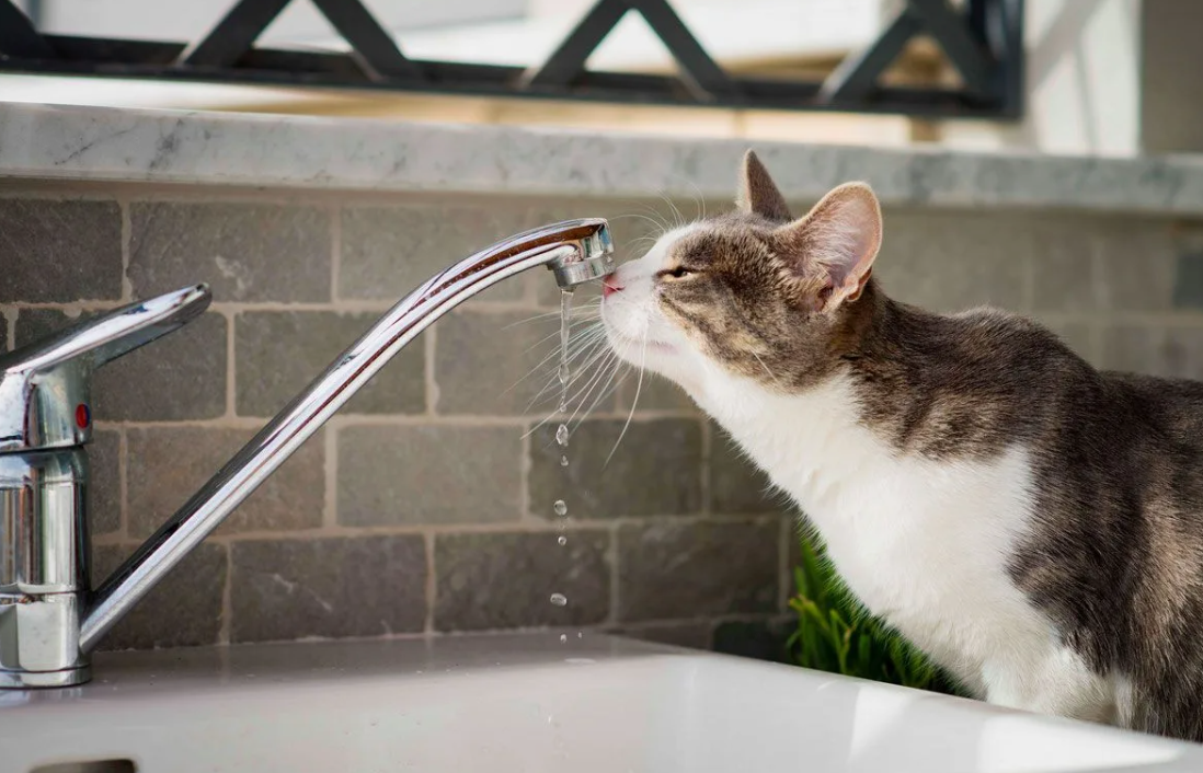 отключение горячей воды 2024